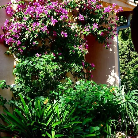 Ca'n Bando * Soller